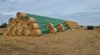 Fliz COVERTEX 140 15,60 x 12,50 m - karton